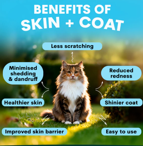 PetzPark Skin + Coat for Cats – 72g Powder