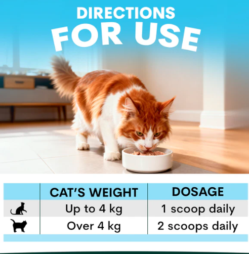 PetzPark Skin + Coat for Cats – 72g Powder