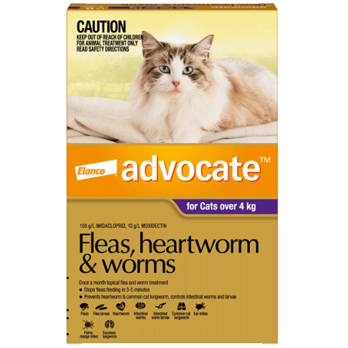 Advocate Fleas, Heartworm & Worms for Kittens & Small Cats up to 4kg – 1 x 0.4ml Tube