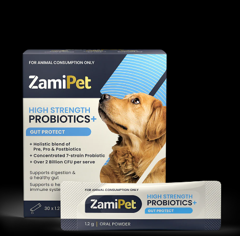 ZamiPet - High Strength Probiotics+ Gut Protect - 30 x 1.2g Oral Powder