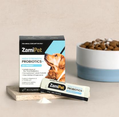 ZamiPet - High Strength Probiotics+ Gut Protect - 30 x 1.2g Oral Powder