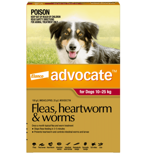 Advocate - Fleas, Heartworm & Worms - Dogs 10kg to 25kg (1 x 2.5ml Tube)